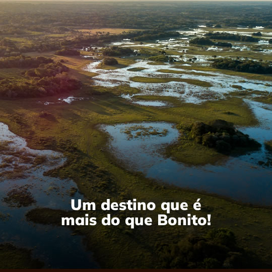 Bonito com Pantanal - Pacote Turístico - Turvicam Bonito com Pantanal - Pacote Turístico - Turvicam