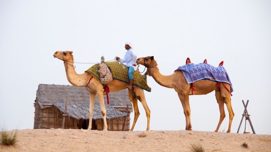 Belém - Dubai (Emirados Árabes) - Passagens - Turvicam Belém - Dubai (Emirados Árabes) - Passagens - Turvicam